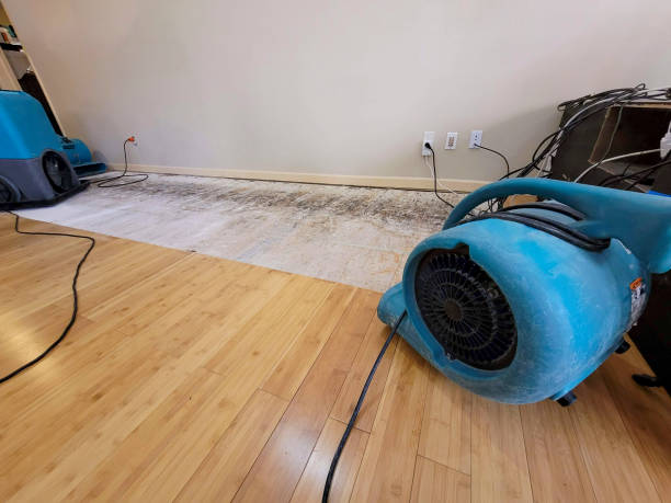Professional Water Extraction technician working in Ashtabula, OH